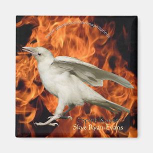 Íman Magneta DE FIRME RAVEN