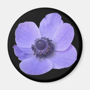 Íman Magneta de Flor Anêmone Azul