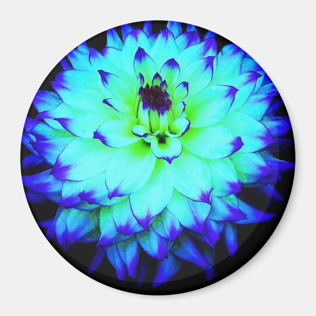 Íman Magneta de flor azul (Frente)