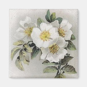 Íman Magneta de Flor de Maçã Vintage