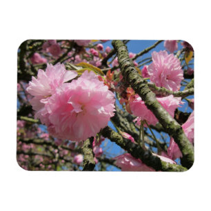 Íman Magneta de flores