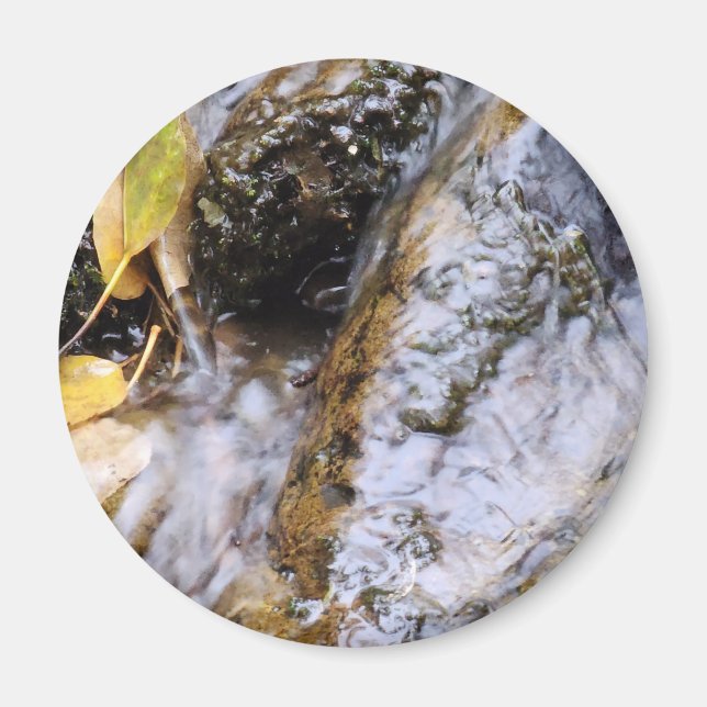 Íman Magneta de Fluxo de outono Reflexo (Frente)