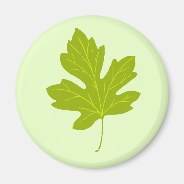 Íman Magneta de Folha de outono Verde Colorida (Frente)