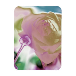 Íman Magneta de Foto Flexível Ranunculus