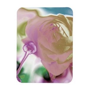Íman Magneta de Foto Flexível Ranunculus
