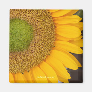 Íman Magneta de fotografia da Flor de Girassol
