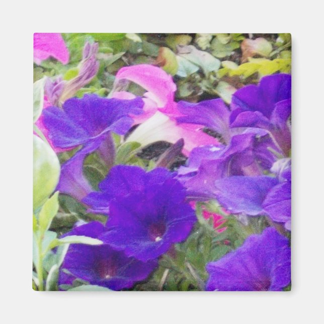 Íman Magneta de Fotografia das Flores Roxas (Frente)