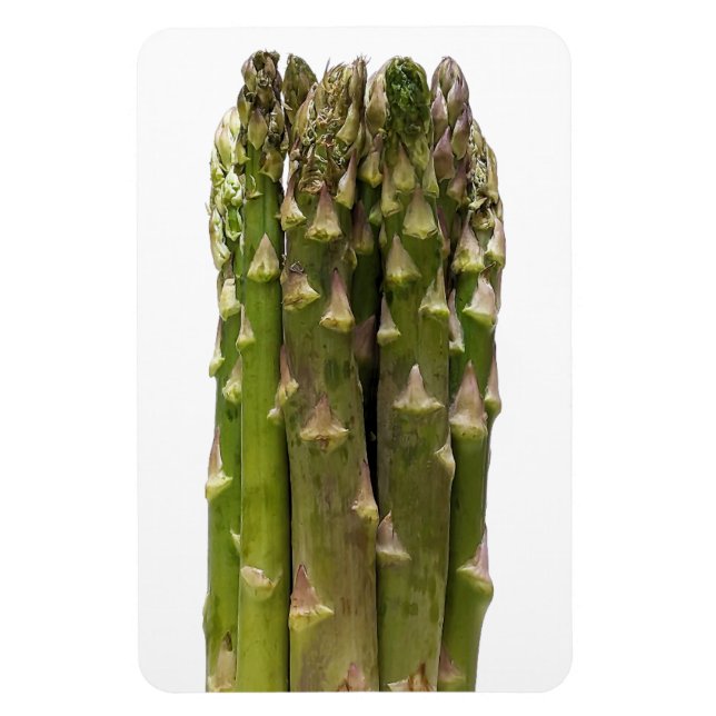 Íman Magneta de Fotografia de Asparagus (Vertical)