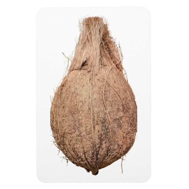 Íman Magneta de Fotografia de Coconut (Vertical)