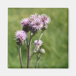 Íman Magneta de Fotografia de Flor Roxo