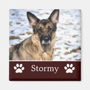 Íman Magneta de Fotografia de Pet Castanho Personalizad