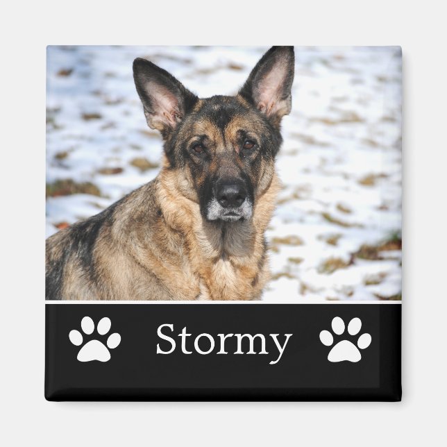 Íman Magneta de Fotografia de Pet Preto Personalizada (Frente)