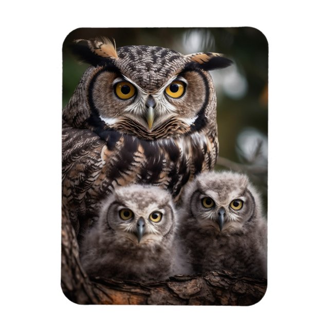 Íman Magneta de Fotografia Flexível da Família Owl (Vertical)