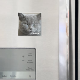 Íman Magneta de Fotografia Personalizada para Gatinho d