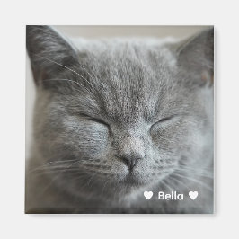 Íman Magneta de Fotografia Personalizada para Gatinho d