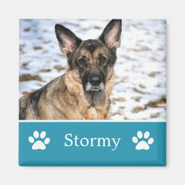 Íman Magneta de Fotografia Pet Azul Personalizada