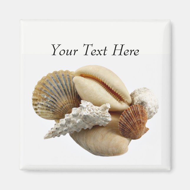 Íman Magneta de Fotografia Seashell Misturada Personali (Frente)
