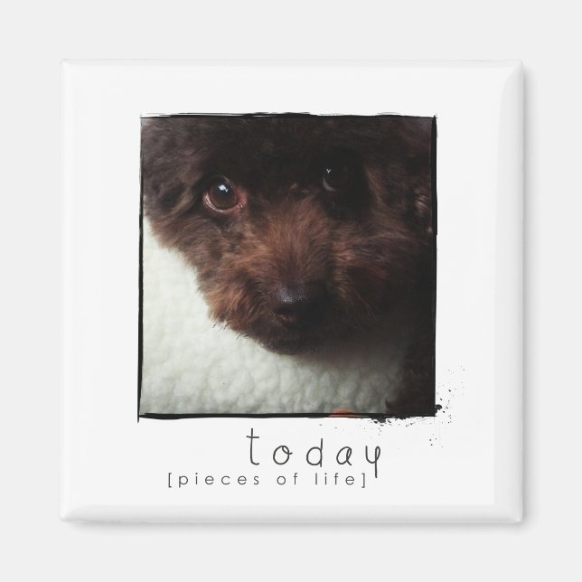 Íman magneta de fotos de amigo instagram (Frente)