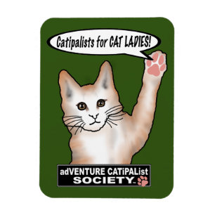 Íman Magneta de Fotos Flexível para Gatos