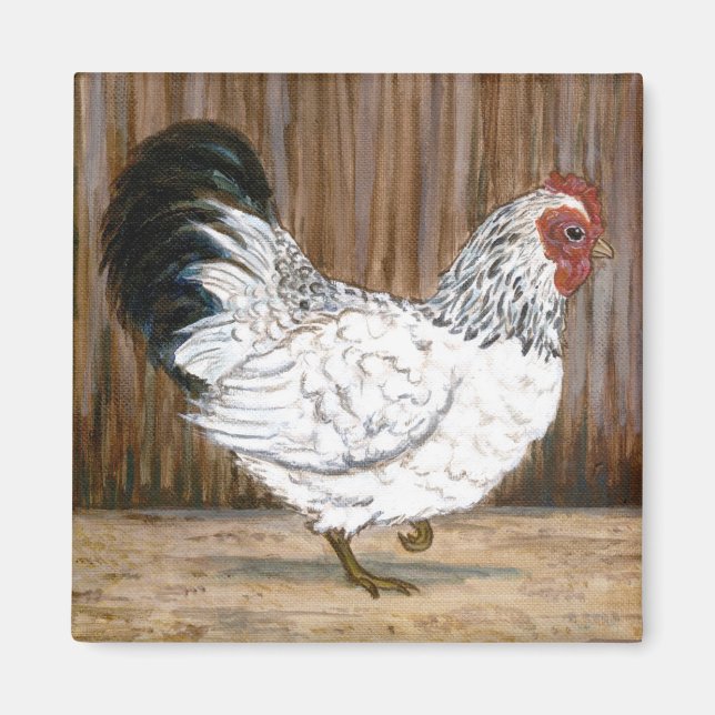Íman Magneta de frango branco (Frente)