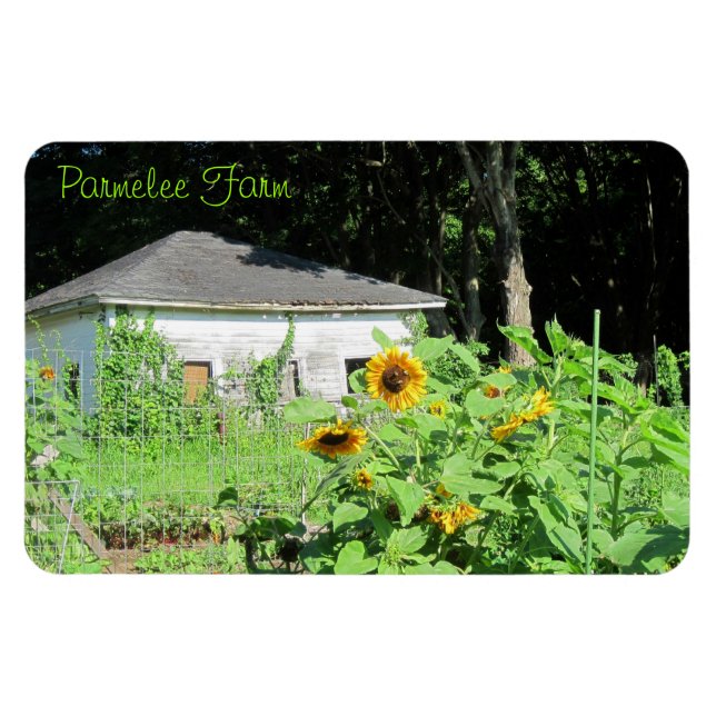 Íman Magneta de Garagem de Grande País (Horizontal)