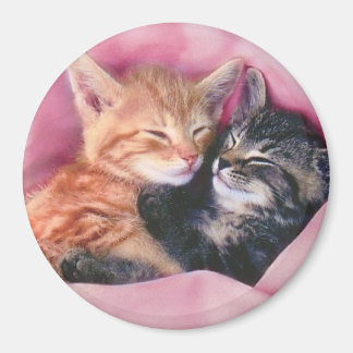 Íman magneta de gatinhos de sonho