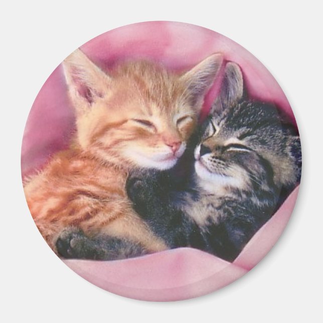 Íman magneta de gatinhos de sonho (Frente)