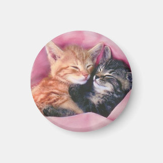 Íman magneta de gatinhos de sonho