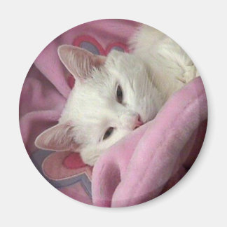 Íman Magneta de gato branco