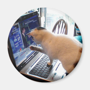 Íman Magneta de Gato Cumputter