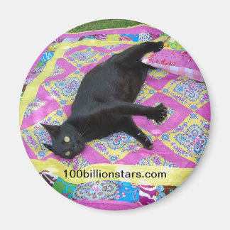 Íman Magneta de Gato de Quilt Louco