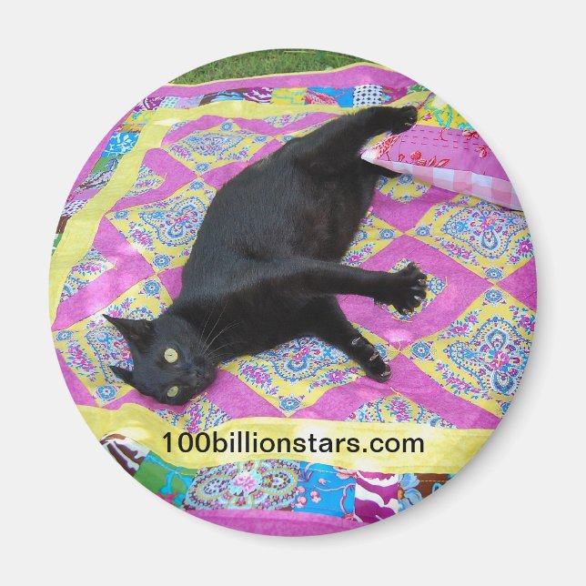 Íman Magneta de Gato de Quilt Louco (Frente)