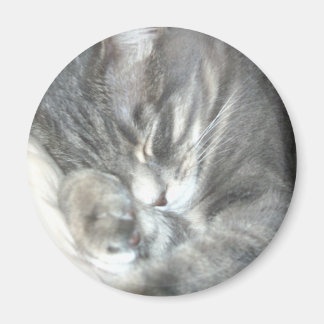 Íman Magneta de Gato Dormindo