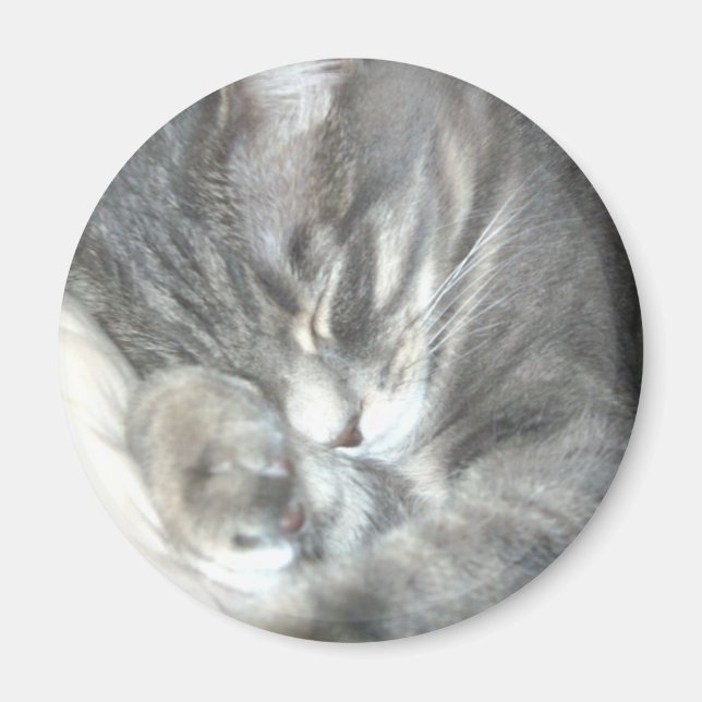 Íman Magneta de Gato Dormindo (Frente)