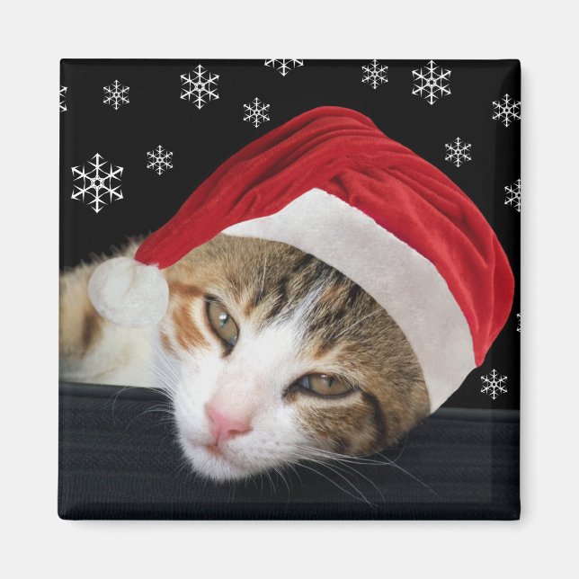Íman Magneta de gato natalino (Frente)