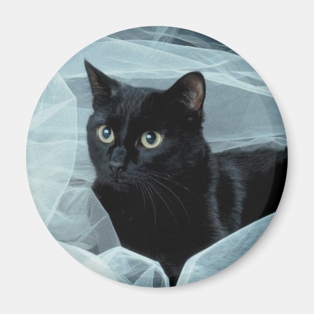 Íman Magneta de Gato Preto (Frente)