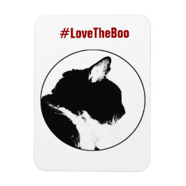 Íman Magneta de Gato Preto