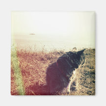 Magneta de Gato Vintage