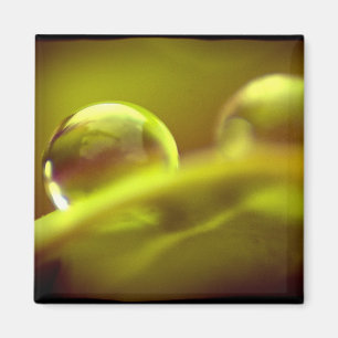 Íman Magneta de gota de água