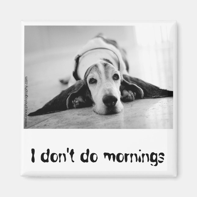 Íman Magneta de Hound Preto e Branco (Frente)