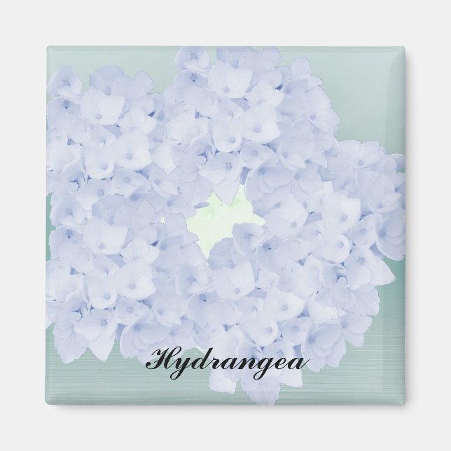 Íman Magneta de Hydrangea Azul (Frente)