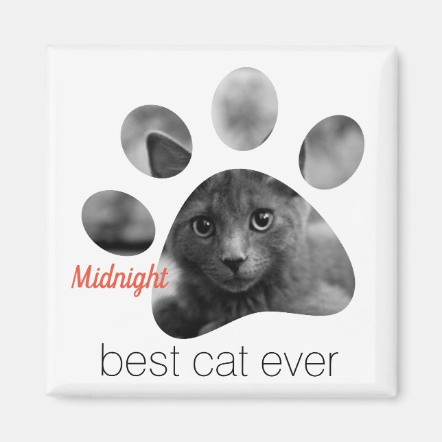 Íman Magneta de Impressão Personalizada da Pata de Foto (Frente)