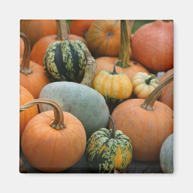 Íman Magneta de inverno (Frente)