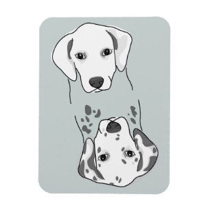 Íman Magneta de lavadora de louça limpa/suja