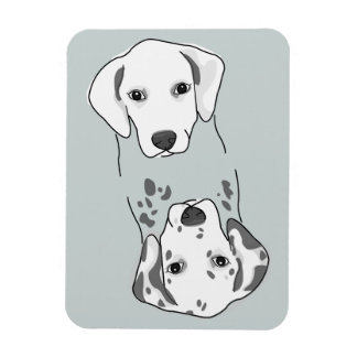 Íman Magneta de lavadora de louça limpa/suja