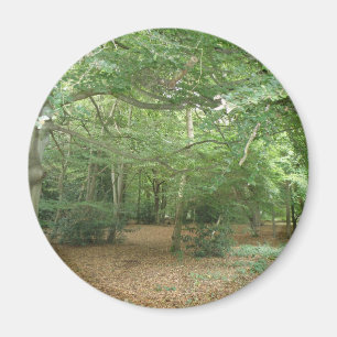 Íman Magneta de limpeza da floresta