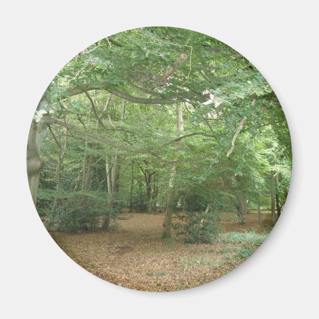 Íman Magneta de limpeza da floresta (Frente)