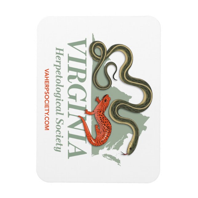 Íman Magneta de logotipo VHS (Vertical)