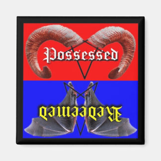 Íman Magneta de máquina de lavar louça resgatada/possuí