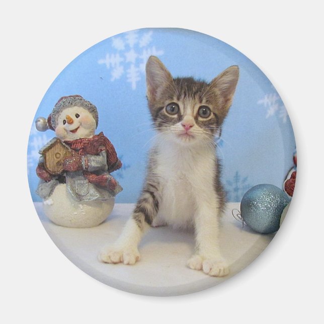 Íman Magneta de Natal - Gato / Gatinho (Frente)